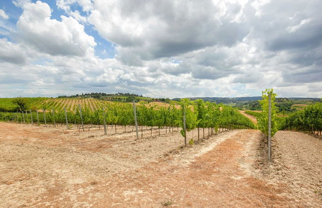 Spacious Tuscany Retreat - Foto 32