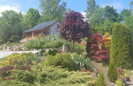 Zielony Zakątek 2 Sosnówka - Foto 31