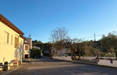 Rosa Life House - Photo 46