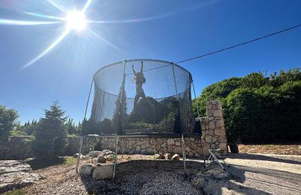 Apartments Grand Pinea - Photo 11