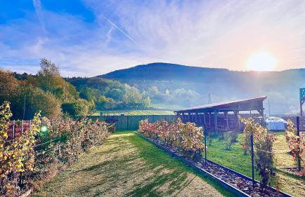 Princess Ślęża - Foto 7