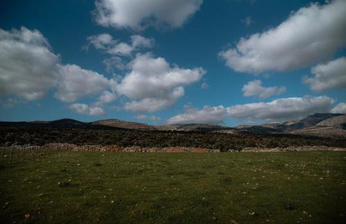 Mitatos "Matthew" - Foto 31