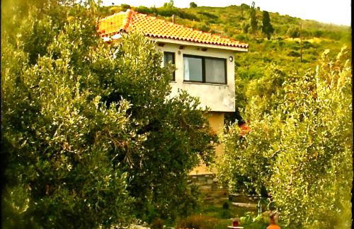 Kyra's Paradise - Foto 1