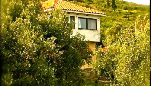 Kyra's Paradise - Foto 1