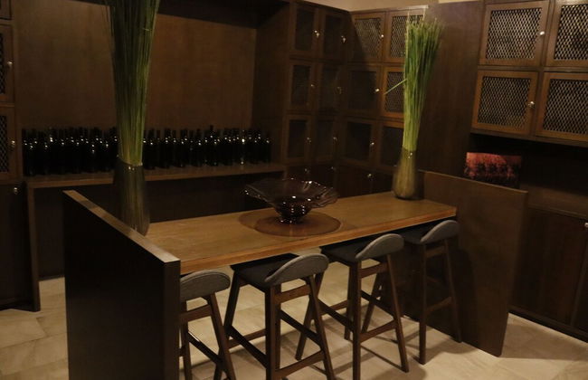 Residencias la Estación San Miguel de Allende - Foto 61