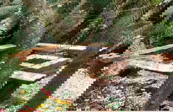 Refúgio Aconchegante em Canela CAN131 - Foto 23