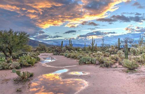 Bright Eastside 2BD 2BA Retreat w Pool and Parking - Foto 36