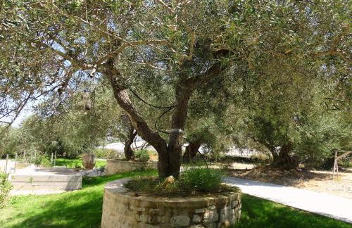 Lyrids Apartments - Photo 92