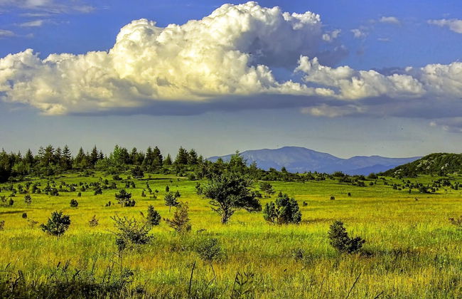 Apartments Sarajevo City Hall - Foto 24