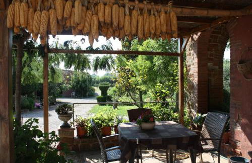 Mas Puig Roig - Foto 42