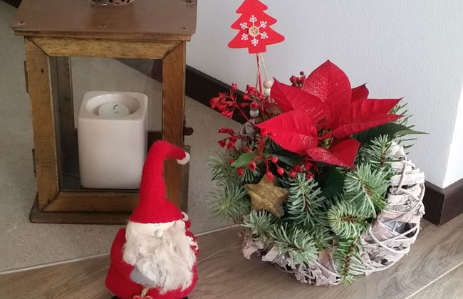 Masetto Egidio Agritur - Foto 37