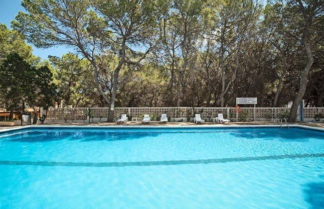 Apartamentos Es Pujols - Foto 12