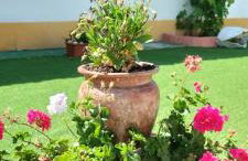 Vila Natura - Foto 15