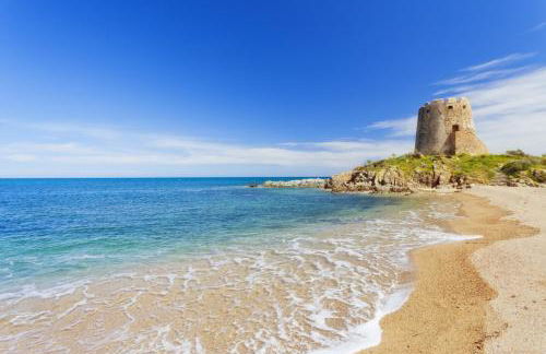 Orchid House - Foto 47