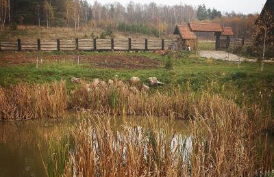 Malowniczy Zakątek w Dercu - Foto 22