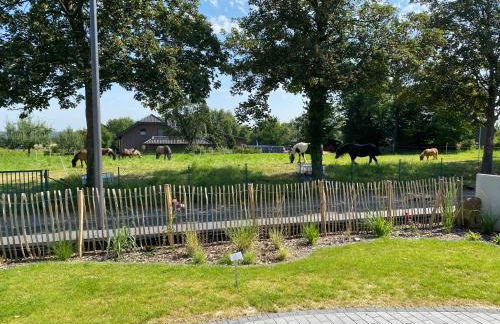 Apartment 'BB43' - 70qm mit Terrasse und kleinem Garten am Rande der Eifel - Foto 34