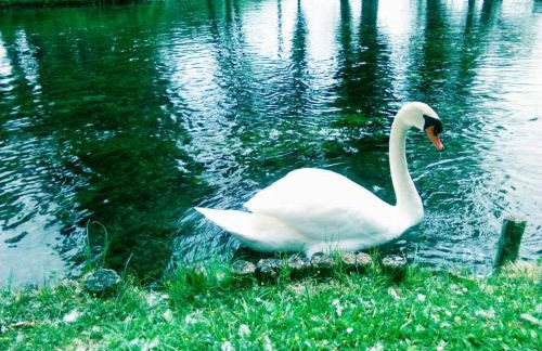 Locazione Turistica LBS, San Giacomo , Spoleto - Photo 23