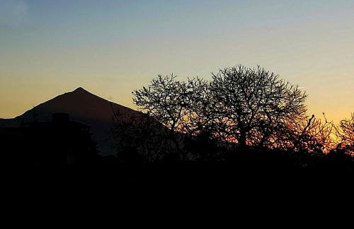 CASA RURAL LIMÓN Y SOL - Foto 37