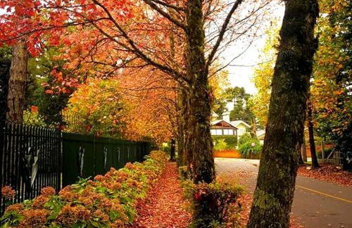 Apartamento Família Sirangelo - Foto 14