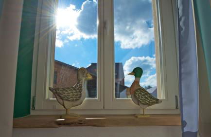 Spreewald Spreemilia Gurkenbude - Foto 23