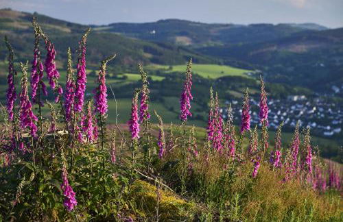 Ferienwohnung Rumphorst - Foto 27