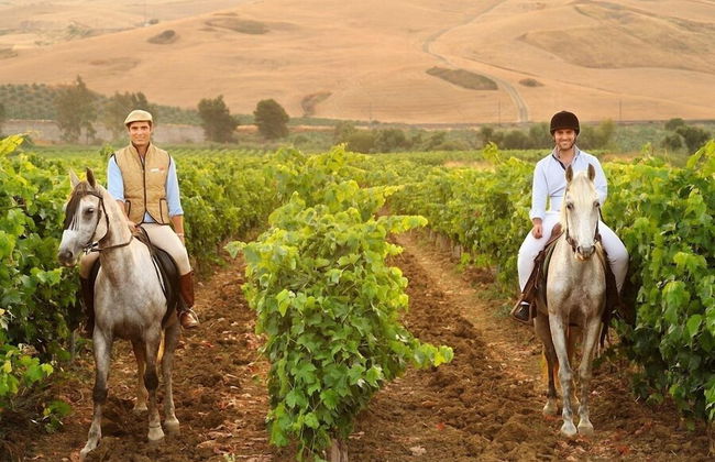 Agriturismo Villa Dafne - Foto 34