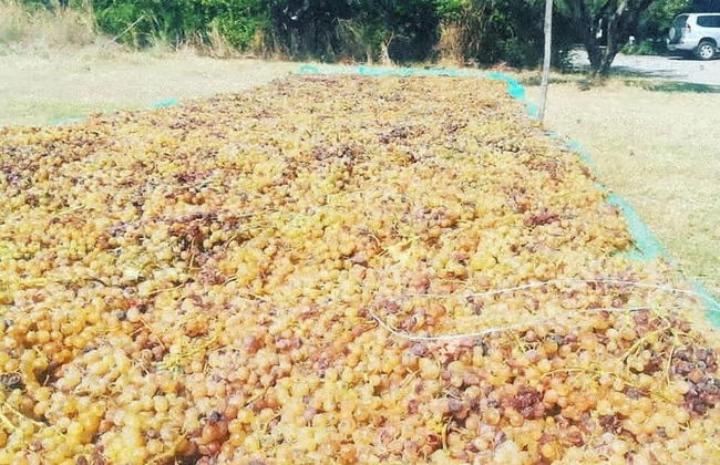 Agriturismo Nereide Ceratti - Foto 13