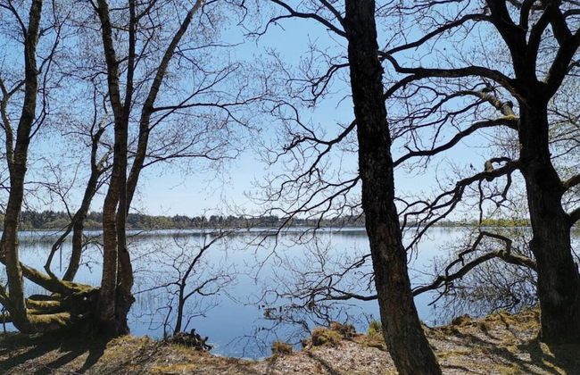 4 Star Holiday Home in Ansager - Photo 37