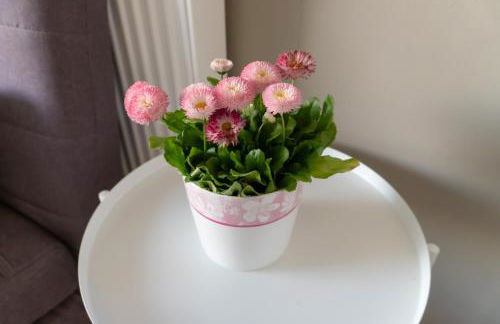 Lena's Family Home - Foto 31