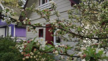 Et pourquoi pas des vacances naturistes à la Jenny ? - Foto 2