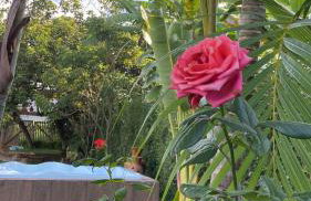 Sítio Canto da Lua - Foto 22