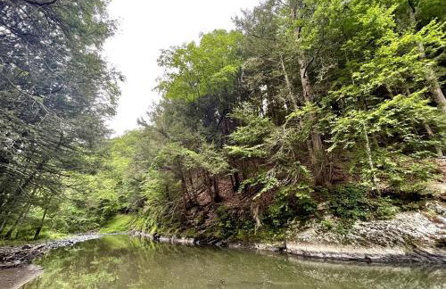 Romantic Glamping Getaway in a Pet Friendly Caravan, Ideal to Explore Hudson Valley - Foto 13