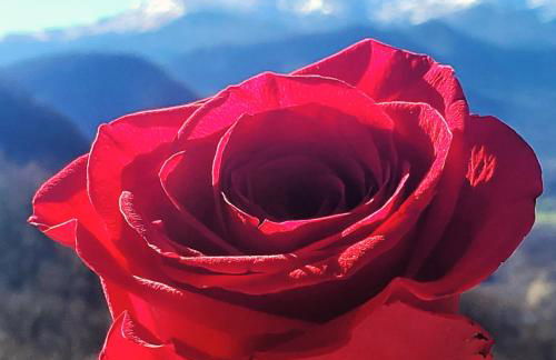 Gite La Grangette de Pauline - Foto 32