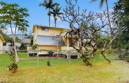 Sea Turtle Life - Photo 51