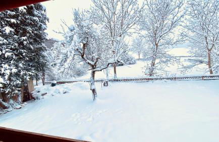 FeWo Chris, nähe Center Parcs Leutkirch im Allgäu - Foto 18