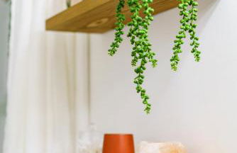 Jungle House Urban Lofts - Arena District & Short North - Foto 70