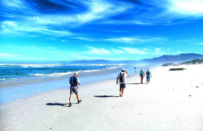 Bellamente Sirene Guesthouse - Foto 38