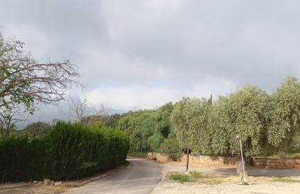 Casas Rurales Cortijo la Cañada - Photo 60