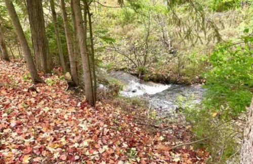 Wagner Creek Hideaway - Foto 16