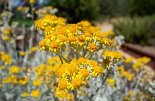 Alpine 4 Bedroom Retreat with Hot tub and Pool table - Foto 33