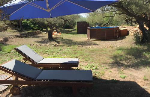 Casa Arbol - Photo 13