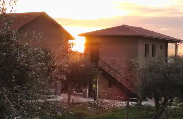 Tapada das Carvalhas - Foto 29