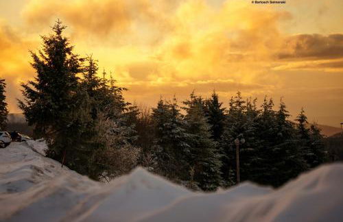 Le Grand Petit Prince - Domaine de Charme - Jacuzzis privatifs - Foto 11