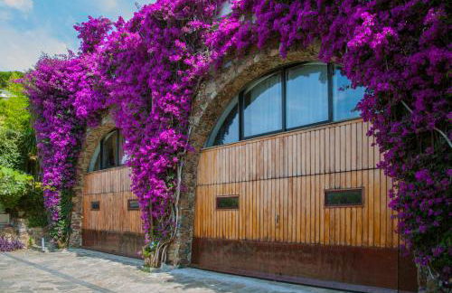 Villa Eliodora - due appartamenti - Foto 1