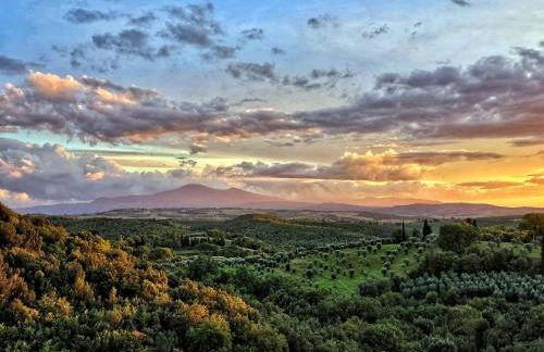 Guest House Manufacto - Foto 1