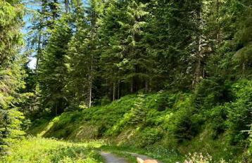 Tannenduft Freudenstadt - Foto 33