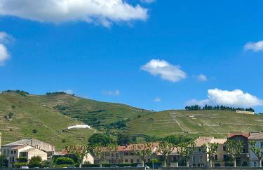 La suite Tournonaise - Foto 17