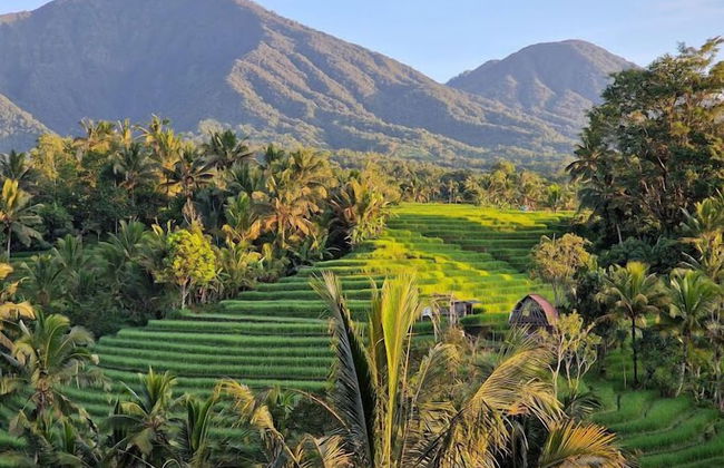 Saridevi Ecolodge Bali - Foto 31