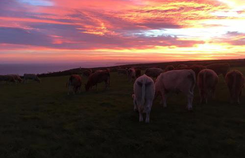 The Little Barn - Near St Ives Beaches & Walks, Dog Friendly - Foto 59
