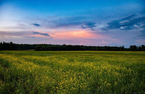 Agroturystyka u Wojtka - Foto 26